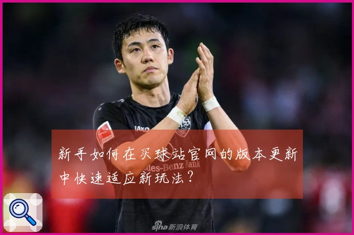 新手如何在买球站官网的版本更新中快速适应新玩法？