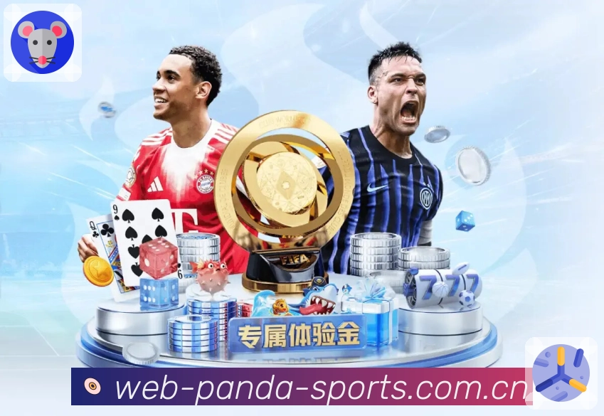 熊猫体育技术保障与服务体系